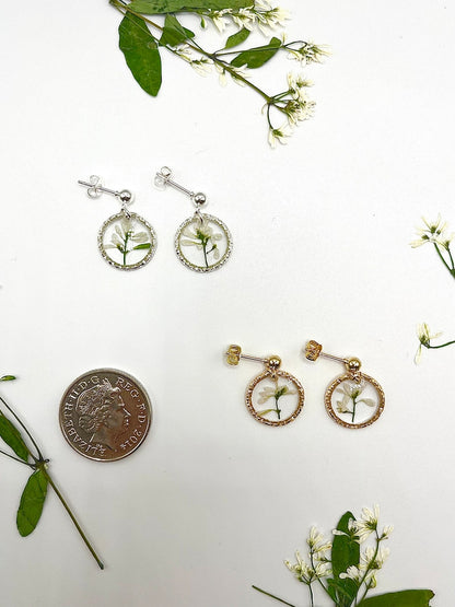 Euphorbia Graminea Earrings image 1