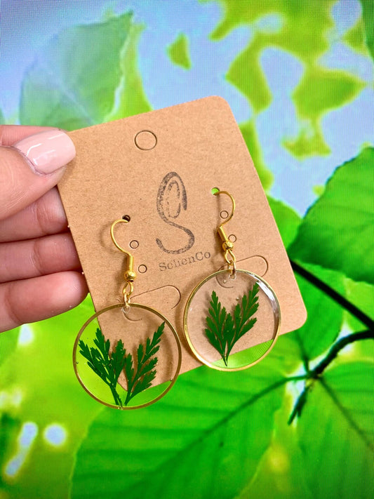 Fern Earrings image 0